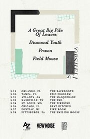 Dates Announced For First-Ever Topshelf Records Tour Featuring A Great Big Pile Of Leaves, Diamond Youth, Prawn And Field Mouse