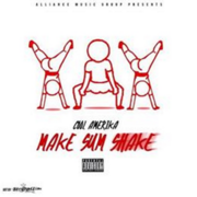 Alliance Music Group Presents Make Sum Shake By Cool Amerika