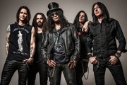 SLASH: Partners With The International Fund For Animal Welfare (IFAW)