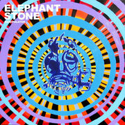 Elephant Stone Reveal New Single Manipulator (Released 25th November, Burger Records)