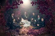 San Fermin Announce New Album - Belong - Out April 7, 2017