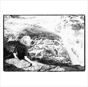 Seattles Nostalgist Presents Present:tense Off Coming Disaffection LP