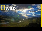 X Ambassadors, Nat Geo Wild Team Up For Symphony For Our World