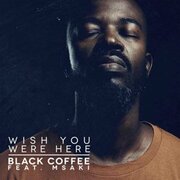 Black Coffee Releases New Single Wish You Were Here