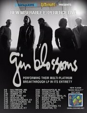 Gin Blossoms Announce New Leg Of New Miserable Experience Live