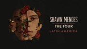 Shawn Mendes Announces Latin American Leg Of 2019 Headlining Tour