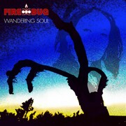 FireBug Releases Their Highly Anticipated Single Sinner Off New Album Wandering Soul