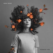 Jamie Drake Shares Redwood Tree Video With The Talkhouse