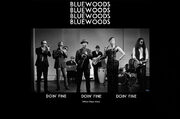 BlueWoods Releases Stunning Video For Doin Fine