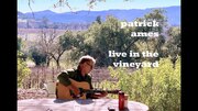 Patrick Ames Takes You On A Musical Napa Valley Vineyard Tour In Liveness In Quarantine