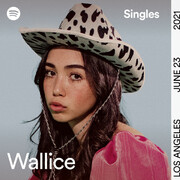 Wallice Shares New Spotify Single Nothing Scares Me