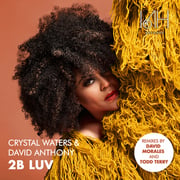 Crystal Waters Enlists DJ Icons Todd Terry & David Morales For 2B Luv Remixes - Out Now