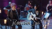 MGMT Salute 90s Alternative Icons In New Music Video Bubblegum Dog