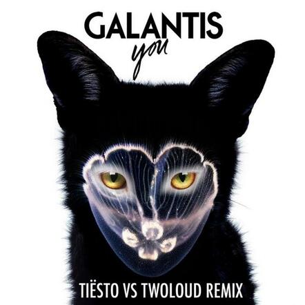 Galantis Share "You (Tiesto vs Twoloud Remix)"