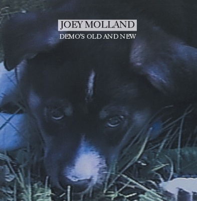 Badfinger Legend Joey Molland Releases 'Demos Old And New' CD On Gonzo MultiMedia