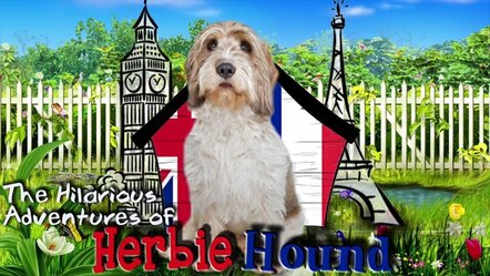 Animated Adventures Of Herbie Hound's 'Specialness' Takes Children's Stories By Storm!