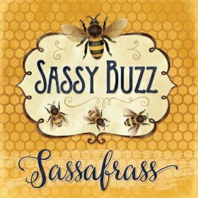 Folk-Rock Duo Sassafrass Releases Album 'Sassy Buzz'