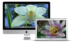 'Master Of Timelapse' Louie Schwartzberg Launches Magic Flowers App Available 6/15 Exclusively On App Store And Mac App Store