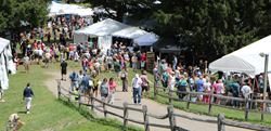 14th Annual Berkshires Arts Festival Presents Art On The Slopes July 3,4,5 At Ski Butternut In Great Barrington, MA