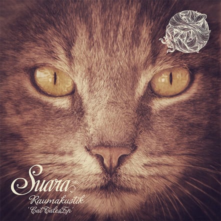 Raumakustik Releases 'Don't Stop' On Suara