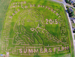 Corn Maze "Dares To Be Different" And Showcases Pop Diva Taylor Swift