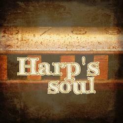 "Harp's Soul" CD Is Roots Rock Nirvana