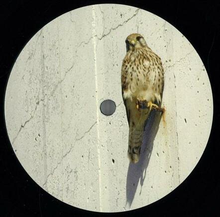 Turmfalke Episode Two On 12" Vinyl