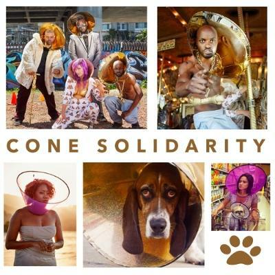 New Comedy Rap Video "Cone Solidarity" Debuts Today Benefitting Animal Shelter The Amanda Foundation