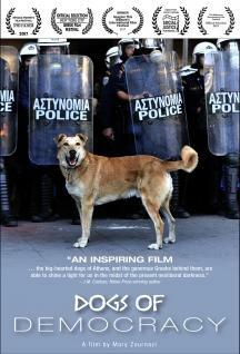 Dogs Of Democracy Coming To DVD On June 12th Via EPF Media