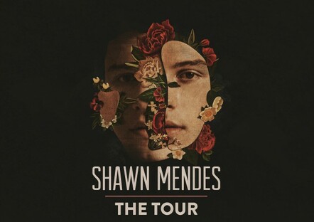 Shawn Mendes Announces Global Arena 2018 Tour