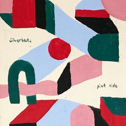 Dublin Five-Piece Silverbacks Shares New Single 'Pink Tide'