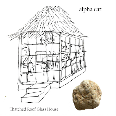 Alpha Cat's "Thatched Roof Glass House" Is Intense