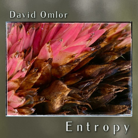 Folk-Rock Artist David Omlor Emerges Onto The Scene With Powerful Debut Album "Entropy"