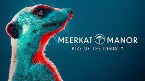 BBC America's "Meerkat Manor: Rise Of The Dynasty" To Return On Saturday, September 4 With New Episodes