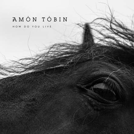 Amon Tobin's "How Do You Live" Out Today!
