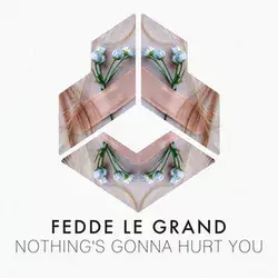 Fedde Le Grand Drops New Hit 'Nothing's Gonna Hurt You'