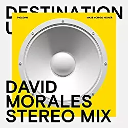 David Morales Remixes Pig&Dan On Bedrock Records