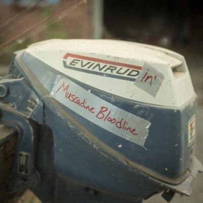 Muscadine Bloodline's "Evinrudin' Is The Perfect Weekend Soundtrack