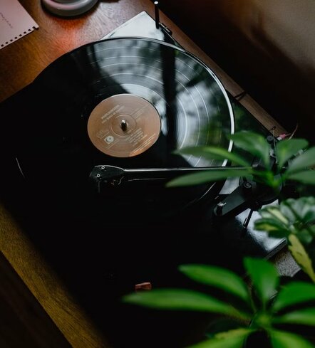 5 Main Reasons Why People Buy Vinyl Records Today