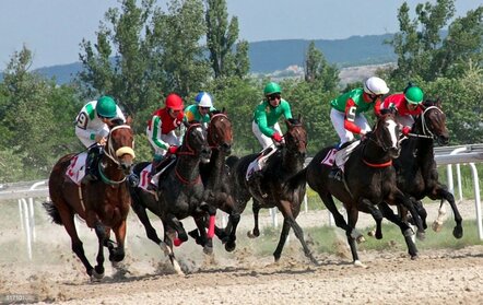 Riding The Odds: Maximizing Profits Through Smart Horse Race Betting