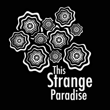 New Musical This Strange Paradise Acquires Legendary Producer Todd Thicke