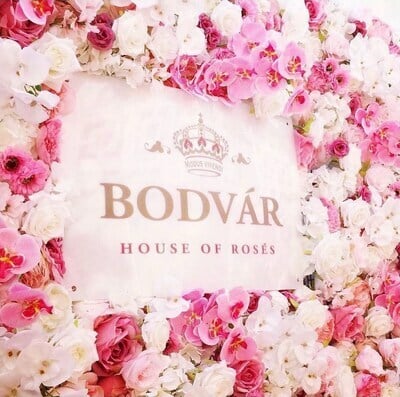 Bodvar Rose And DJ Furkan Sert Unite Music And Rose With Hit Song 'Bodvar'