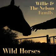 Willie & The Nelson Family Sing Wild Horses