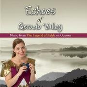 Echoes Of Gerudo Valley Live Launch Set-free Concert Streams Online May 7