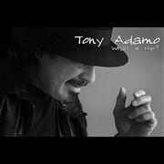 Singer Tony Adamo @ No 5 With What Is Hip