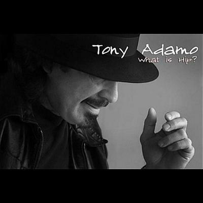 Singer Tony Adamo @ No 5 With 'What Is Hip'