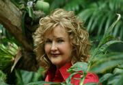 Cheryl K. Warner Releases Remix Of Dreams