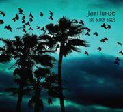 Jami Lundis Title Track Big Black Birds
