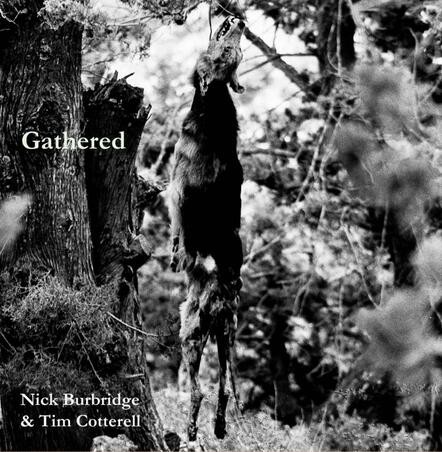 Nick Burbridge & Tim Cotterell 'Gathered'