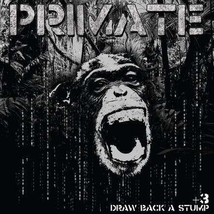 Primate Confirm East Coast Tour Dates With High On Fire